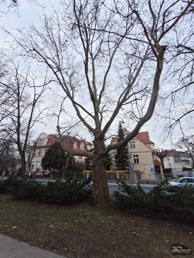 Обзор Nothing Phone (4a) Pro: не такой, как все, &mdash; и не для каждого