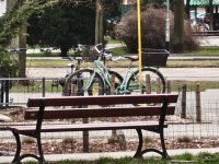 Обзор Nothing Phone (4a) Pro: не такой, как все, &mdash; и не для каждого