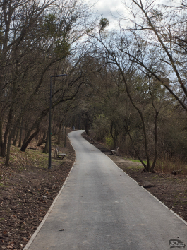 Обзор Nothing Phone (4a) Pro: не такой, как все, &mdash; и не для каждого