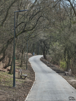 Обзор Nothing Phone (4a) Pro: не такой, как все, &mdash; и не для каждого