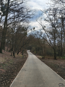 Обзор Nothing Phone (4a) Pro: не такой, как все, &mdash; и не для каждого