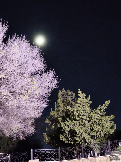 Обзор смартфона TECNO CAMON 50 Ultra: самый умный в своем классе