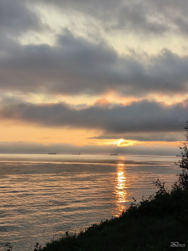 Обзор смартфона TECNO CAMON 50 Ultra: самый умный в своем классе