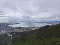 Обзор смартфона TECNO CAMON 50 Ultra: самый умный в своем классе