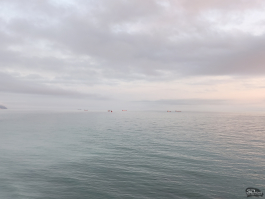 Обзор смартфона TECNO CAMON 50 Ultra: самый умный в своем классе