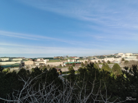 Обзор смартфона TECNO CAMON 50 Ultra: самый умный в своем классе