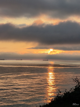 Обзор смартфона TECNO CAMON 50 Ultra: самый умный в своем классе