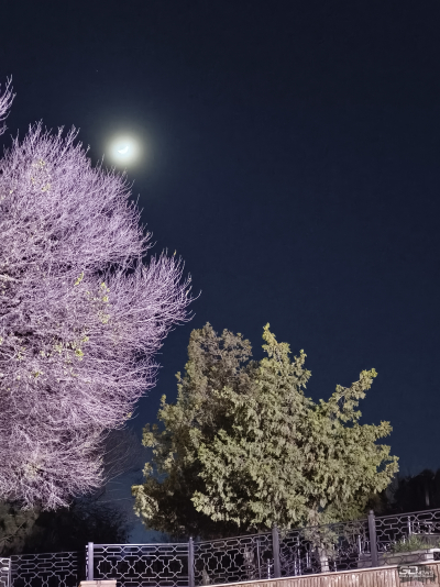 Обзор смартфона TECNO CAMON 50 Ultra: самый умный в своем классе