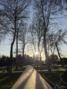 Samsung Galaxy S26 Ultra как идеальный коллекционер воспоминаний