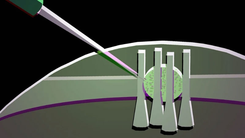 Учёные превратили каплю жидкого кристалла в оптический транзистор для гибких оптических чипов