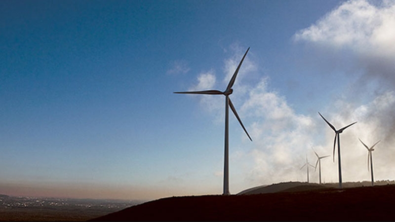 В США втихую запустили крупнейшую ветряную электростанцию &mdash; оператор опасался реакции Трампа