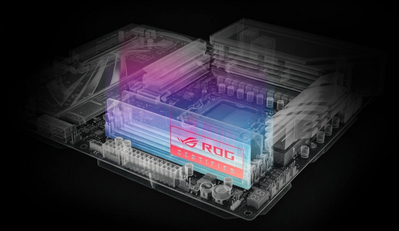 Asus сертифицировала 17 модулей DDR5 &mdash; они точно совместимы с платами&nbsp;ROG