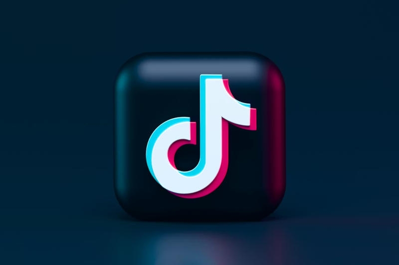 TikTok оспорил статус &laquo;привратника&raquo; в высшем европейском суде