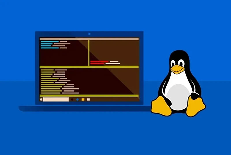 Windows 11 получит более глубокую интеграцию с Linux &mdash; специально для разработчиков