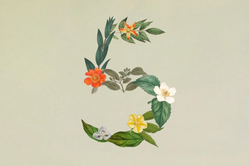 Anthropic выпустила Claude Sonnet 5 &mdash; ИИ-модель &laquo;в среднем весе&raquo;, которая приближается по уровню к Opus 4.8 и заточена под работу с агентами