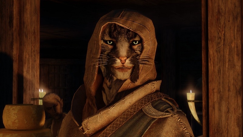 Авторитетный инсайдер прояснил, когда выйдет The Elder Scrolls VI