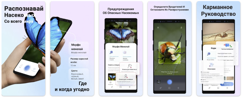 Хочу всё знать: обзор ИИ-приложений с функцией умной камеры для Android