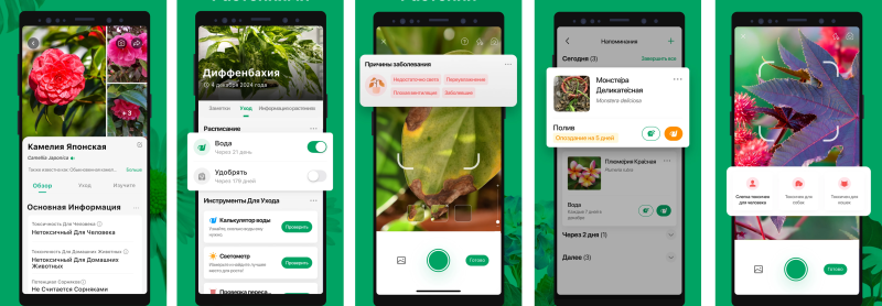 Хочу всё знать: обзор ИИ-приложений с функцией умной камеры для Android
