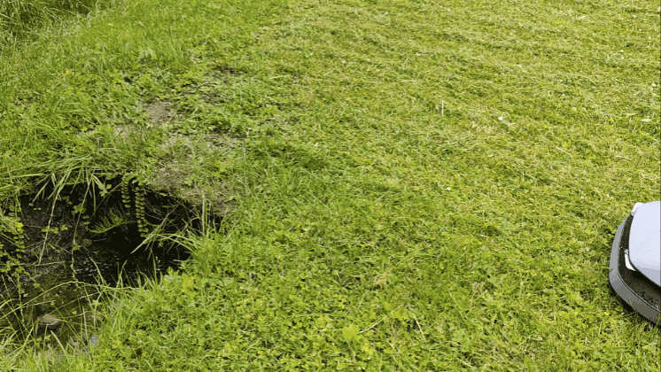 Обзор робота-газонокосилки Dreame Roboticmower A1 Pro 2000: когда на дачу приезжаешь только отдыхать
