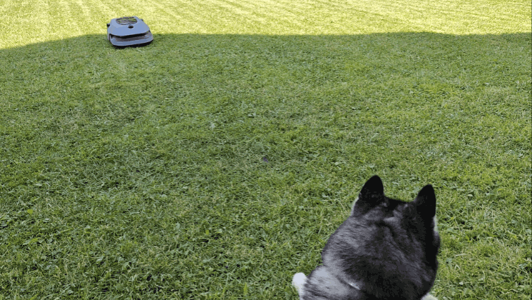 Обзор робота-газонокосилки Dreame Roboticmower A1 Pro 2000: когда на дачу приезжаешь только отдыхать