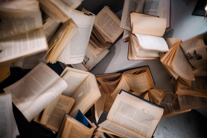 Пираты призвали добровольцев сканировать бумажные книги, пока их не уничтожили ИИ-лаборатории
