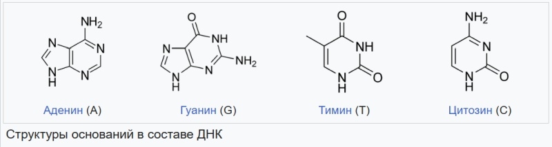 Google представила ИИ-платформу для исследования человеческого генома и закономерностей изменения ДНК