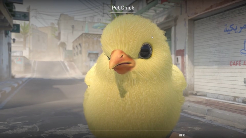 Питомцы, новый режим и бесшумная перезарядка: для Counter-Strike 2 вышло крупное обновление