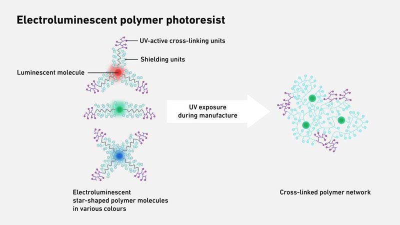 Учёные создали OLED размером с амёбу — его пиксели «напечатали» ультрафиолетом, как чипы