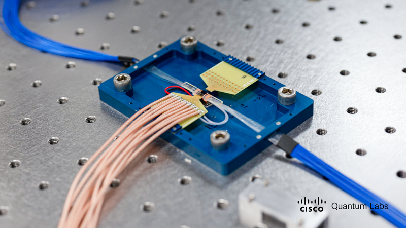 IBM и Cisco к концу 30-х годов создадут интернет для котов Шрёдингера — квантовый и запутанный