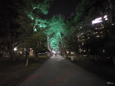 Обзор Samsung Galaxy Z TriFold: тройной складной смартфон по цене квартиры в Воркуте