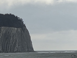 Обзор Samsung Galaxy Z TriFold: тройной складной смартфон по цене квартиры в Воркуте