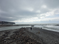 Обзор Samsung Galaxy Z TriFold: тройной складной смартфон по цене квартиры в Воркуте