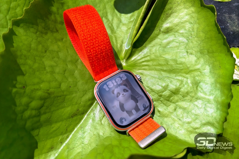 Обзор умных часов HUAWEI WATCH FIT 5 Pro: тренируйся, панда!